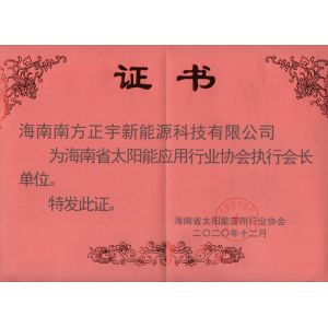 2020执行会长单位